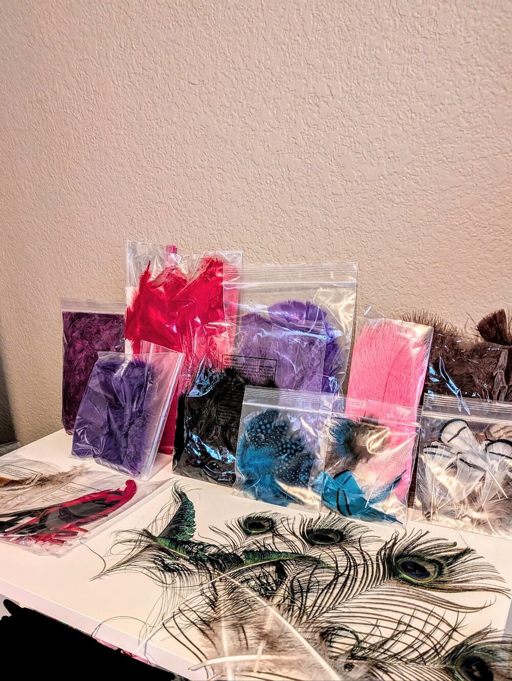 Assorted Craft Feathers - Pink, Purple, Blue, Red, Black